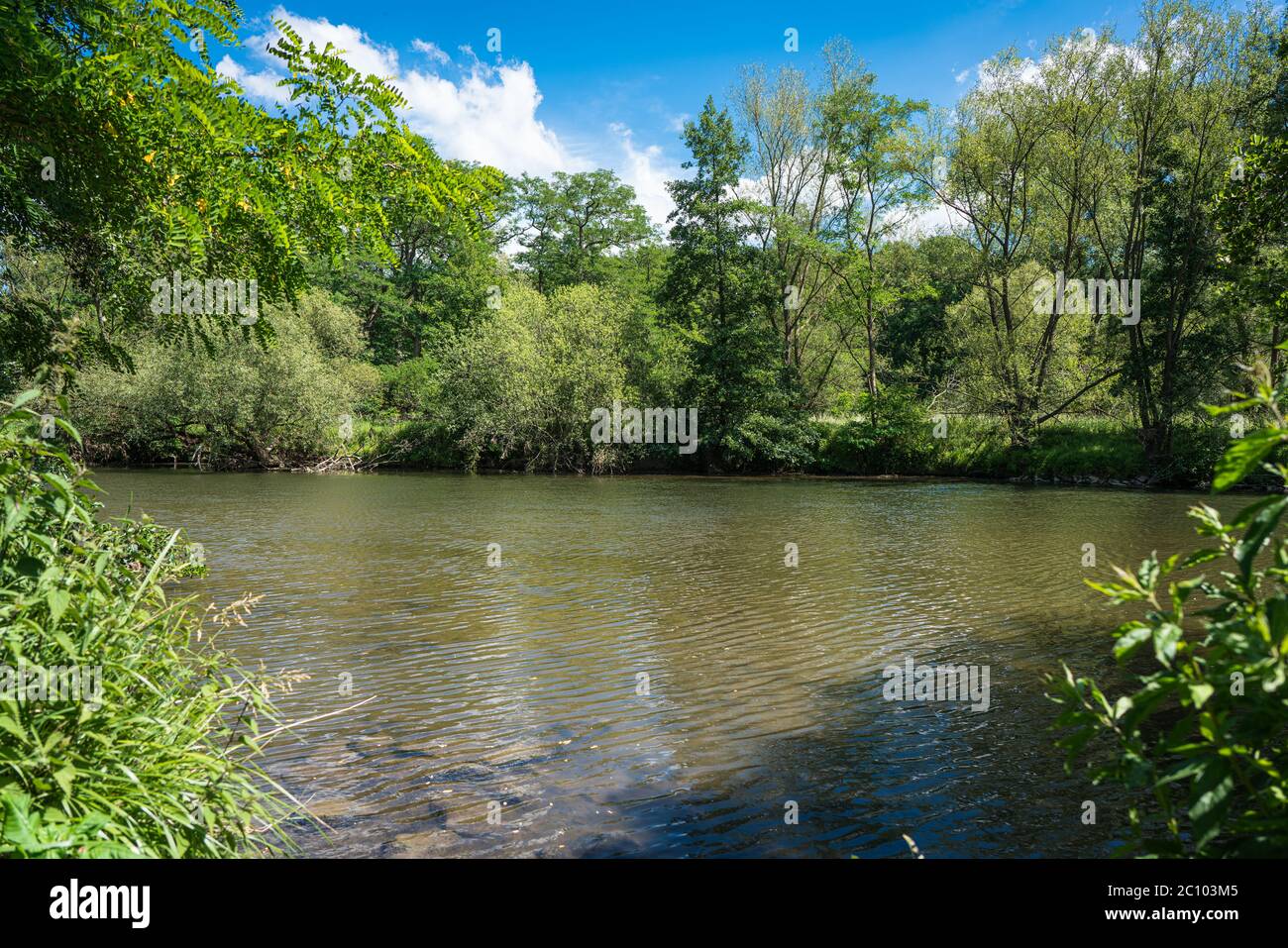 Vista sul fiume Agger sulla riva opposta. Una scena estiva in una bella giornata. Foto Stock