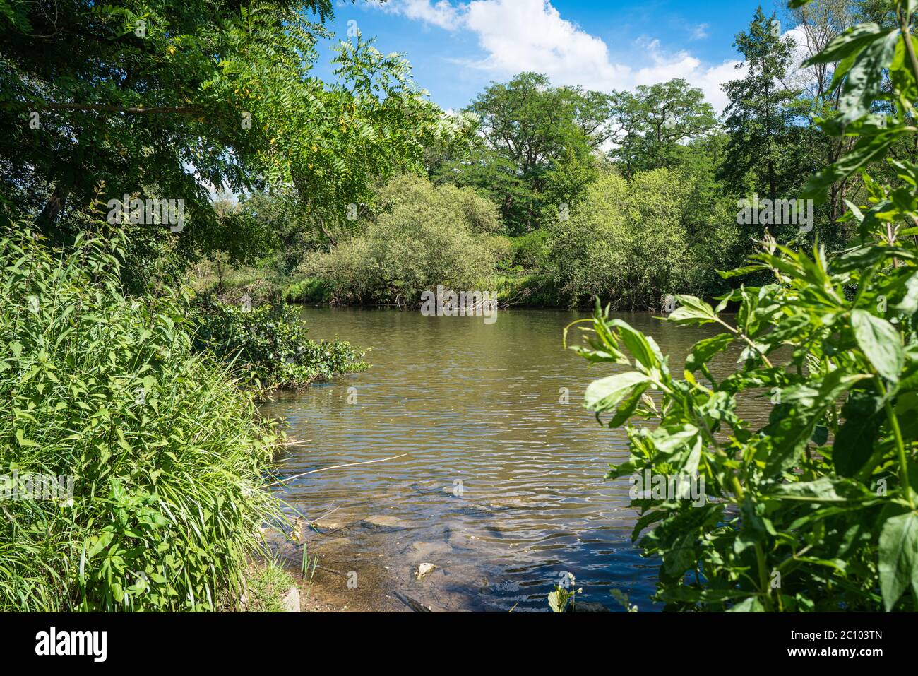 Vista sul fiume Agger sulla riva opposta. Una scena in una bella giornata estiva. Foto Stock