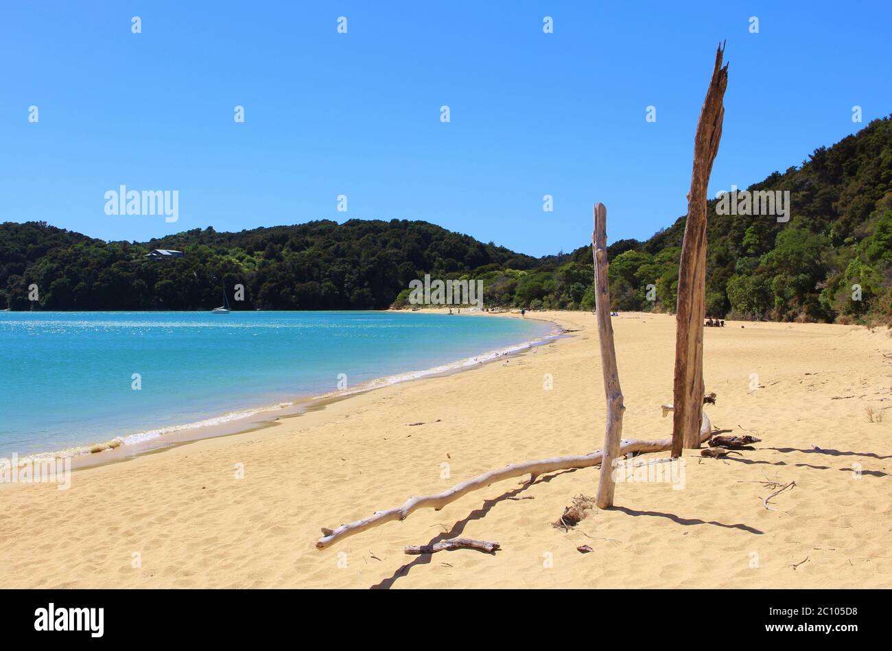 Beach Paradise Torrent Bay al Parco Nazionale Abel Tasman in Nuova Zelanda Foto Stock