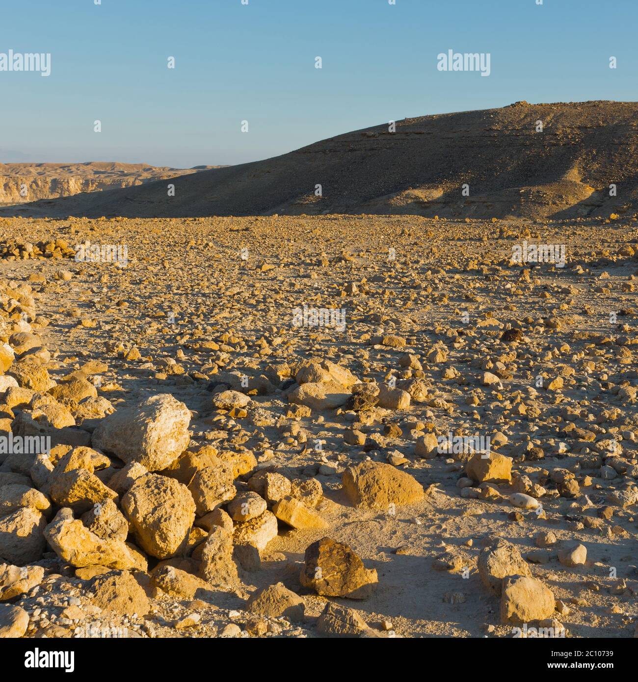 Negev Foto Stock
