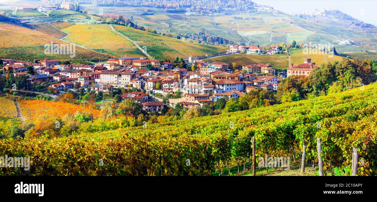 Vigneti dorati e pittoresco villaggio di Barolo del Piemonte, famosa regione vinicola del nord Italia Foto Stock