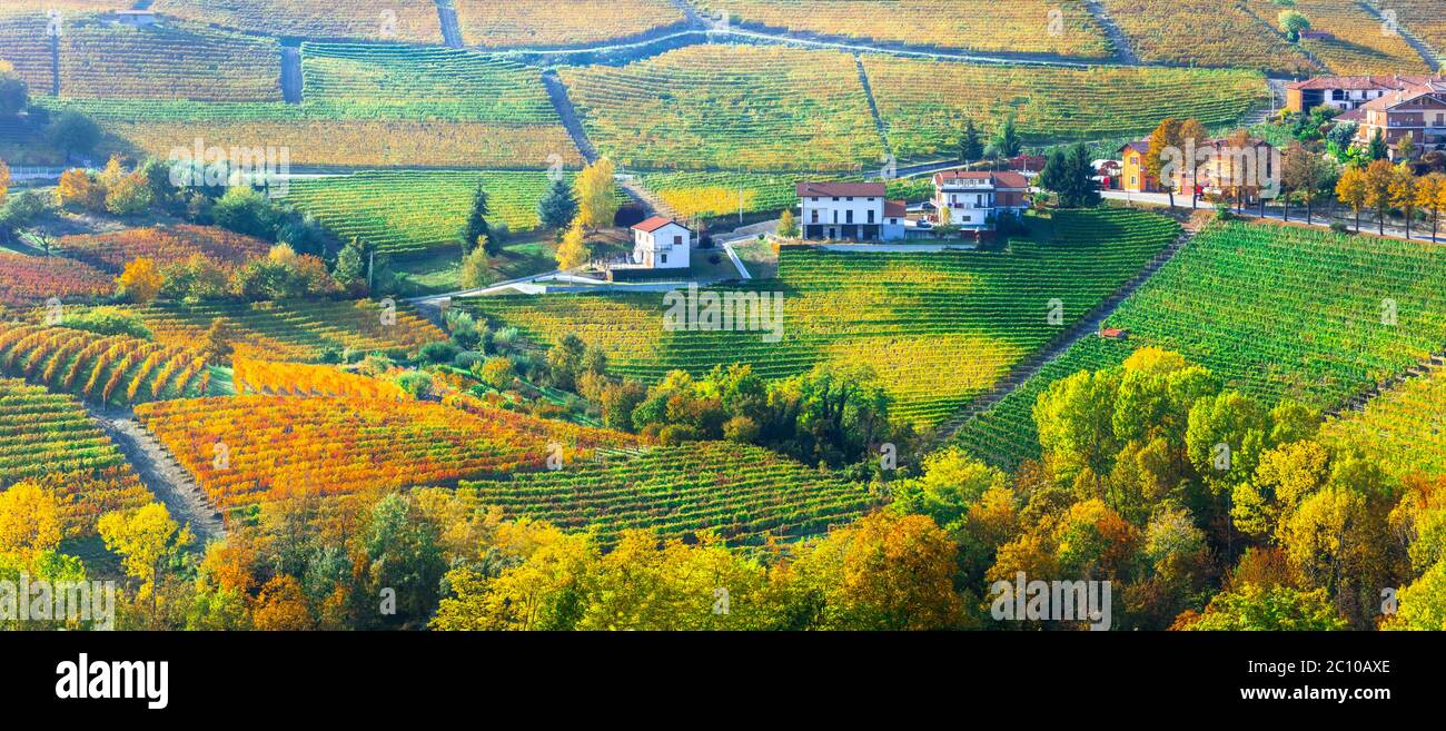 Vigneti dorati e pittoreschi villaggi del Piemonte, famosa regione vinicola del nord Italia Foto Stock