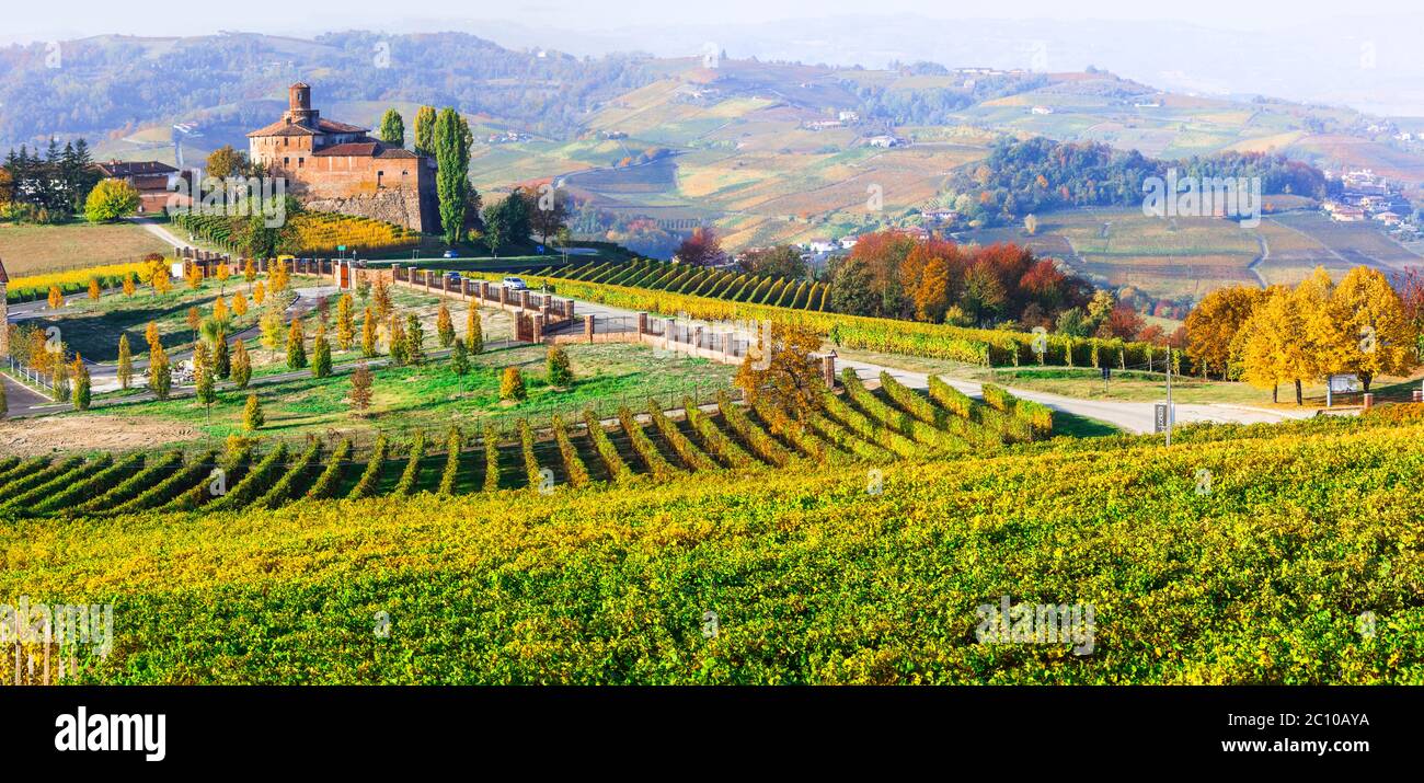 Vigneti dorati e castelli medievali del Piemonte, famosa regione vinicola del nord Italia Foto Stock