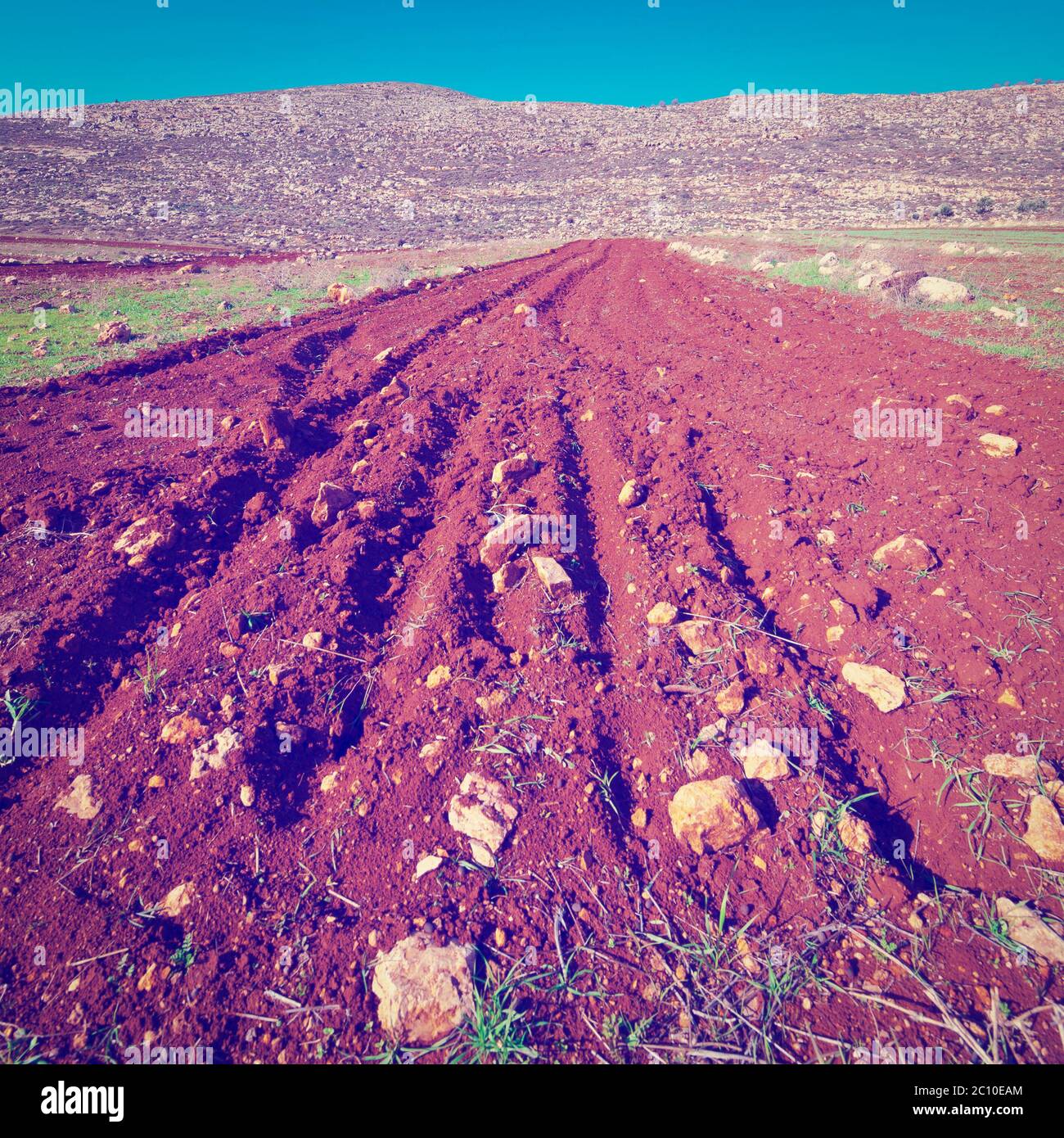 Terra Santa Foto Stock