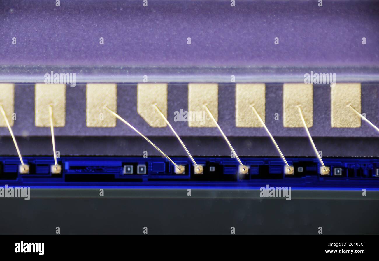 Macro foto di contatti dorati per collegare la matrice alla scheda PCB Foto Stock