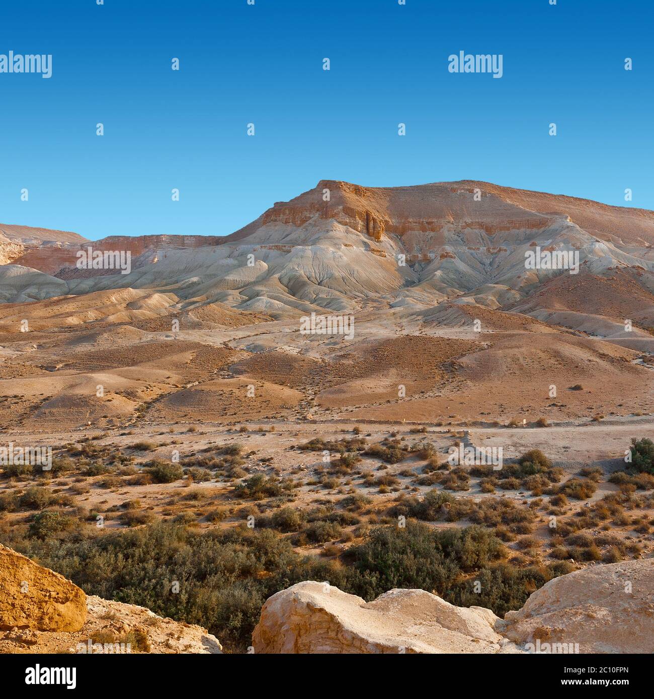 Deserto in Israele Foto Stock