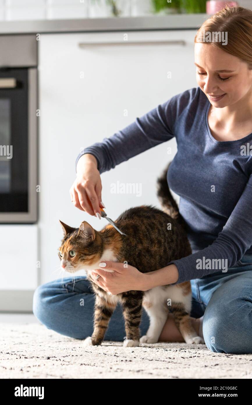 Donna sorridente proprietario combing, graffiando il suo gatto. Pettini. Foto Stock