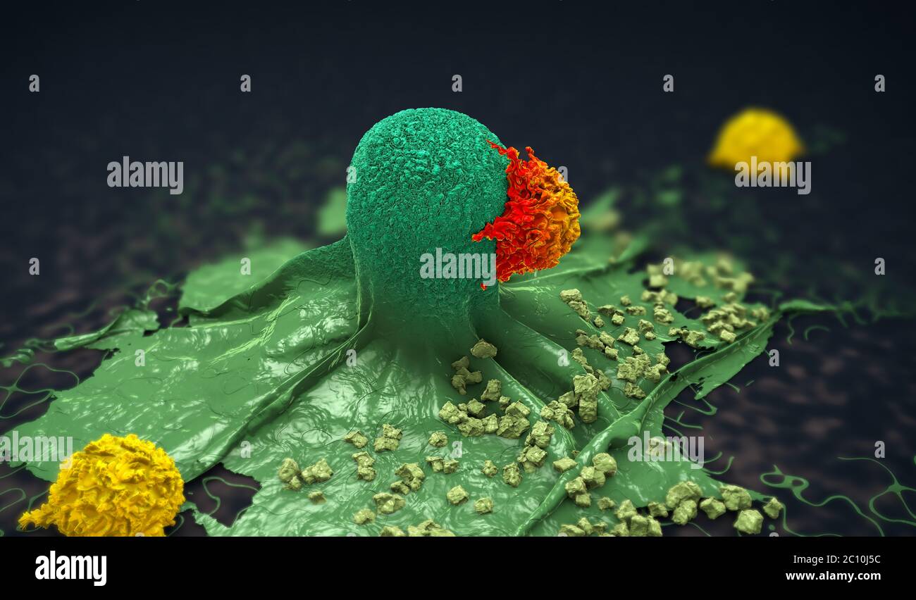 3d illustrazione di una cellula di cancro ha aggredito e ucciso da linfociti Foto Stock