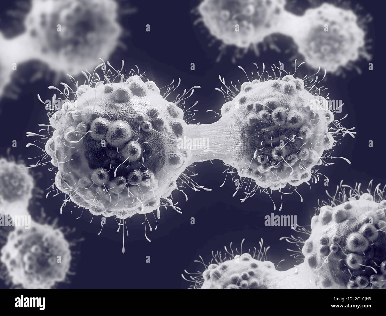 3d illustrazione di una cellula di cancro nel processo di mitosi Foto Stock