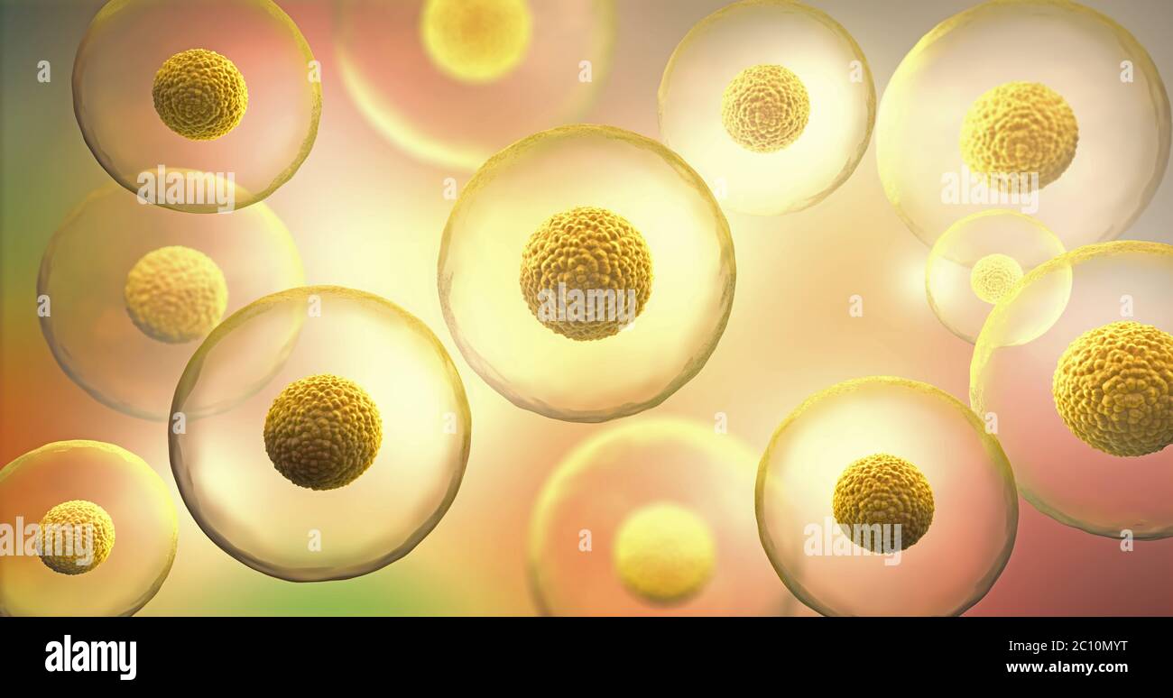 Celle trasparenti con nucleo su sfondo giallo - Illustrazione 3d Foto Stock