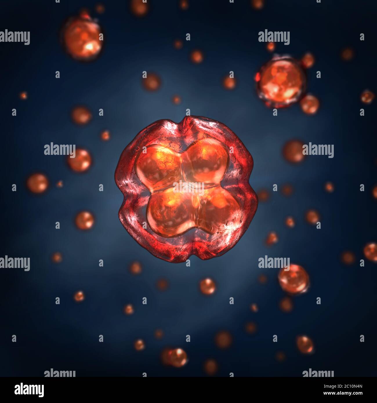 3D illustrazione di celle trasparenti con separazione del nucleo e membrana cellulare Foto Stock