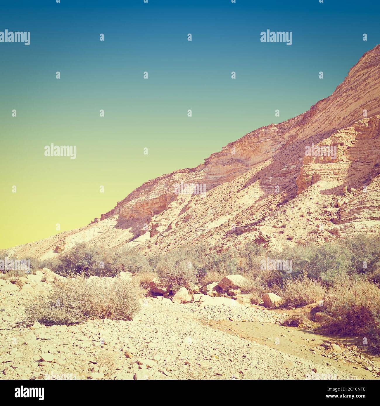 Deserto in Israele Foto Stock