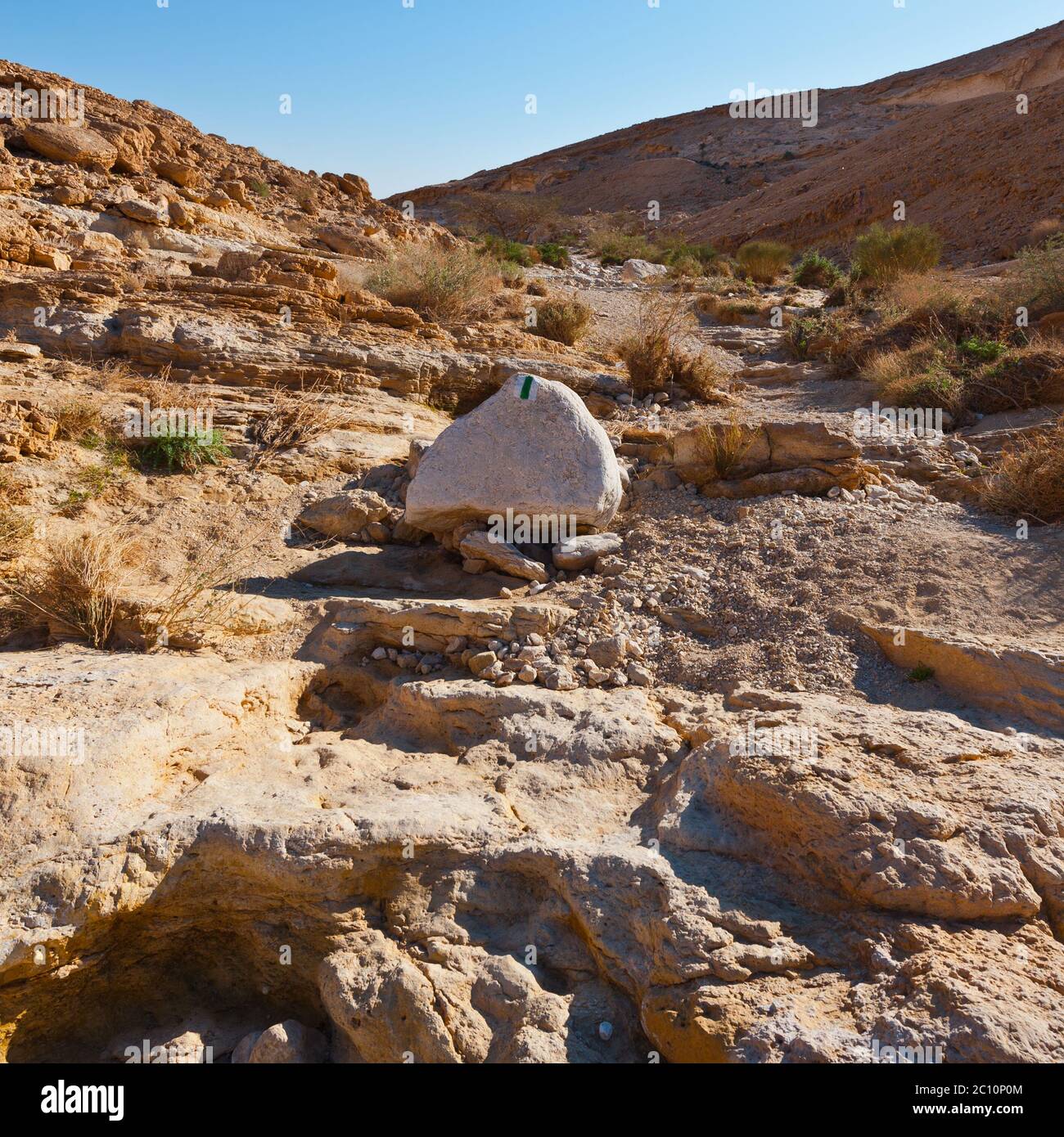 Deserto di Negev Foto Stock