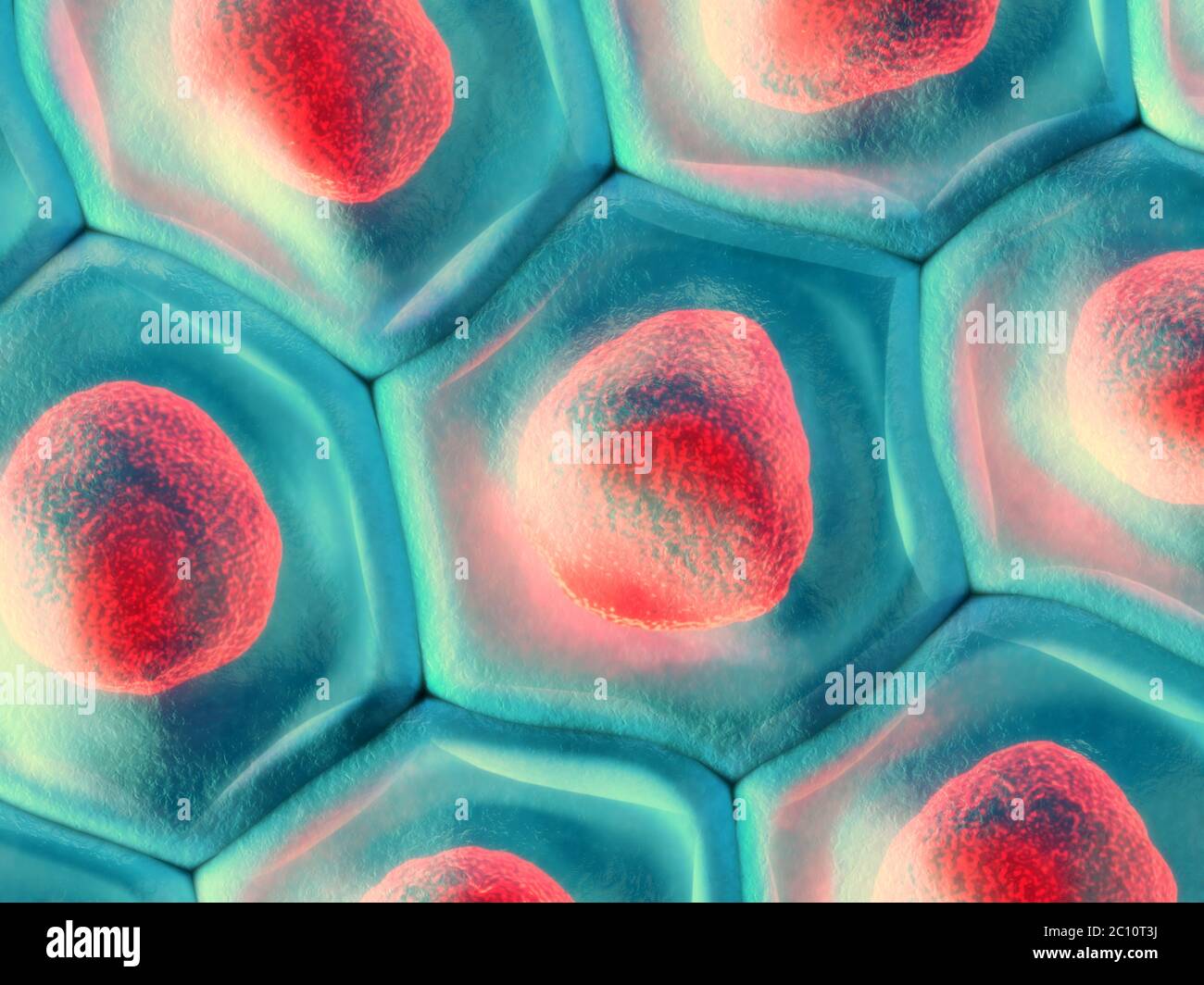 3d'illustrazione di una vista dall'alto sulla cella blu pattern con red nucleo cellulare Foto Stock