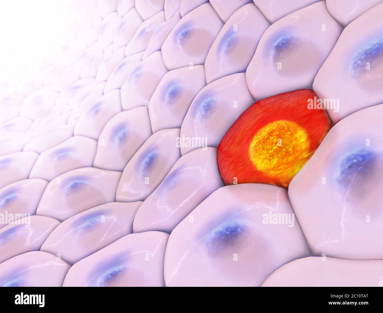 3d illustrazione di cellule allineate con sulla cella rossa nel mezzo Foto Stock