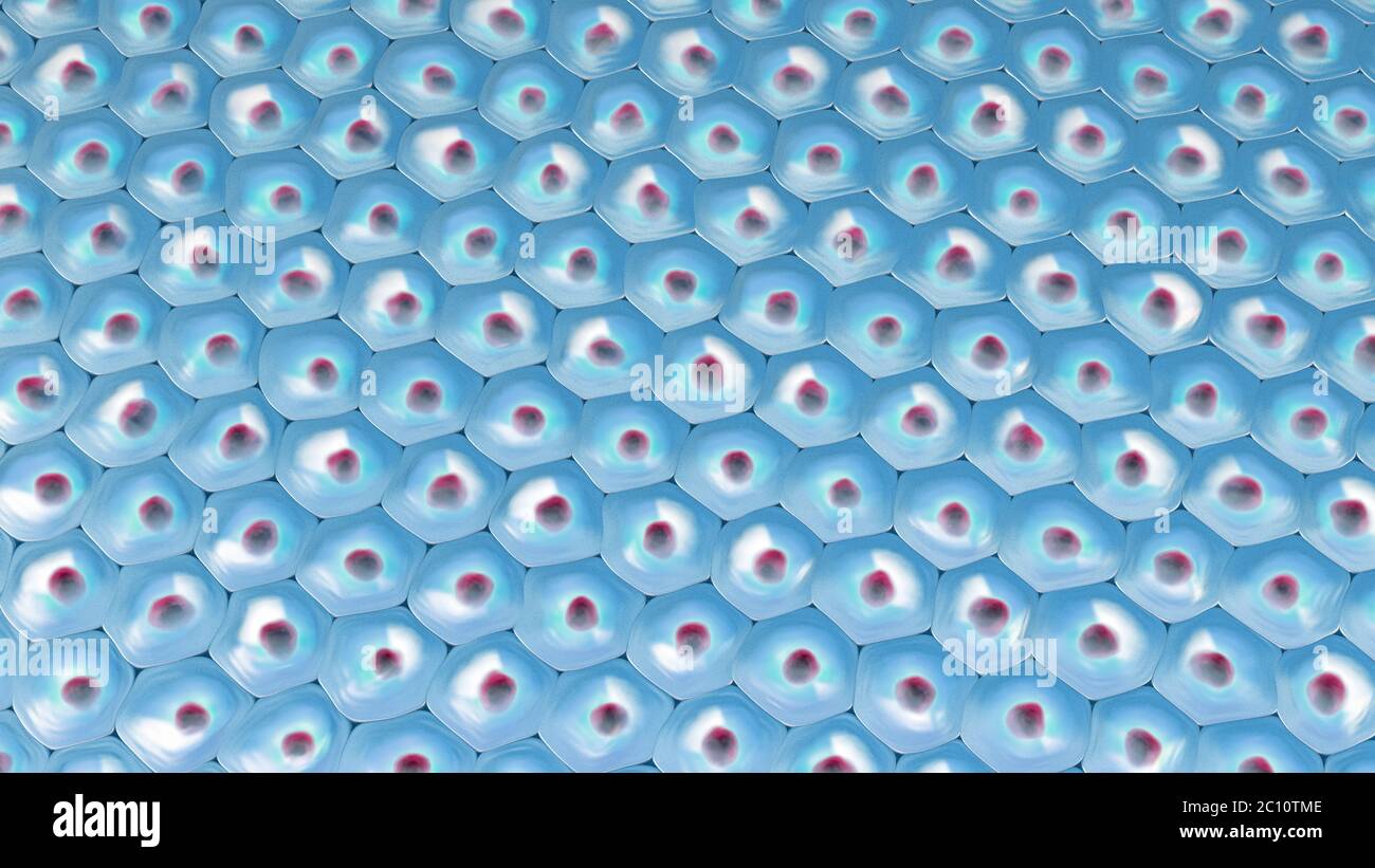 3d'illustrazione di una vista dall'alto sul blu modello di cella con il colore giallo nucleo cellulare Foto Stock