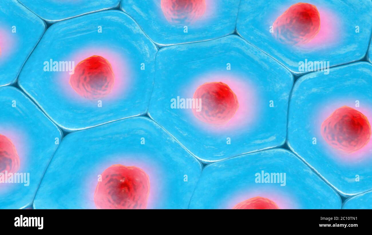 3d'illustrazione di una vista dall'alto sulla cella blu pattern con red nucleo cellulare Foto Stock