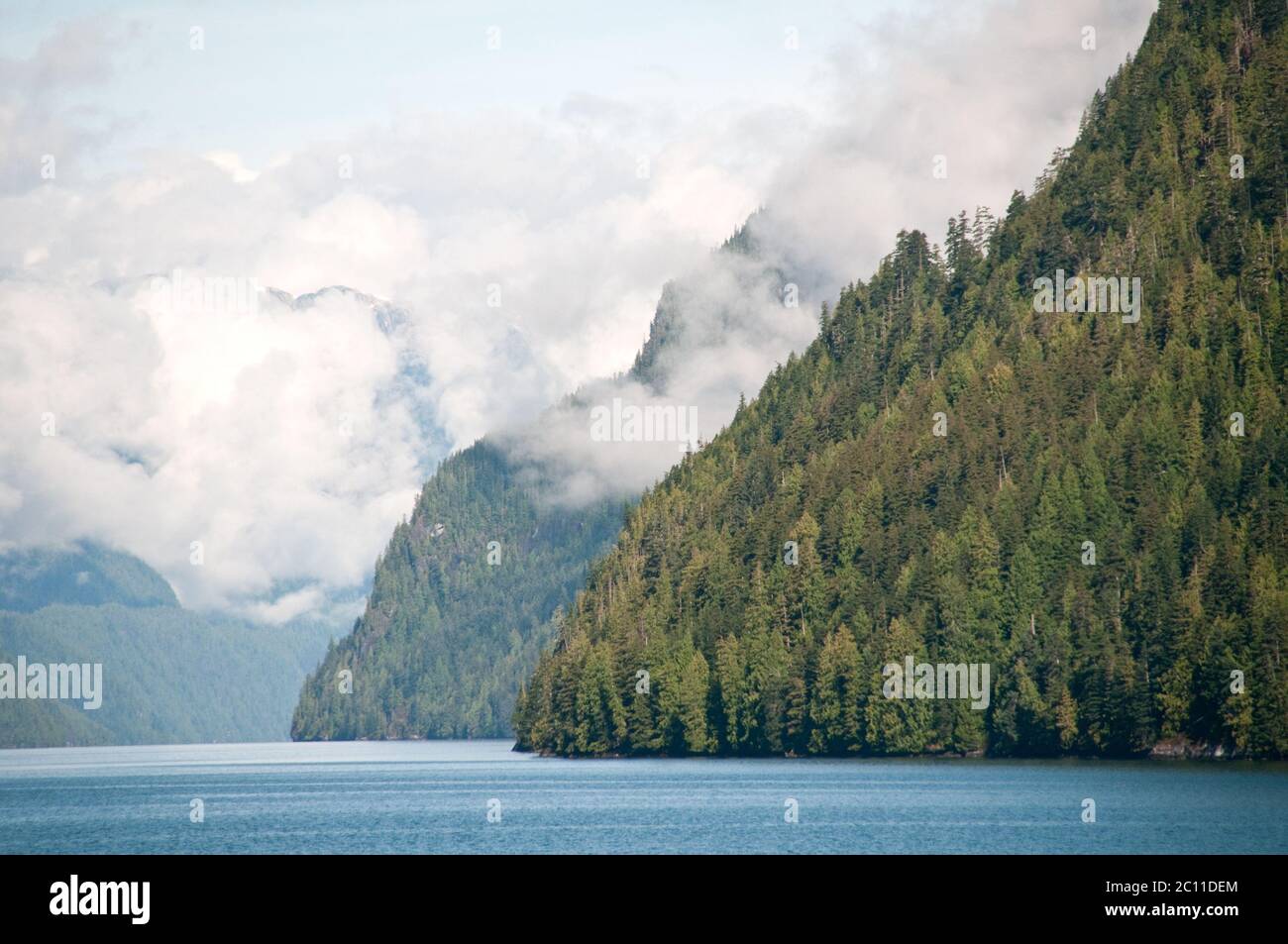 Nuvole misty sopra i fiordi di foresta di conifere di Cascade Inlet nella foresta pluviale di Great Bear sulla costa centrale della Columbia Britannica, Canada. Foto Stock