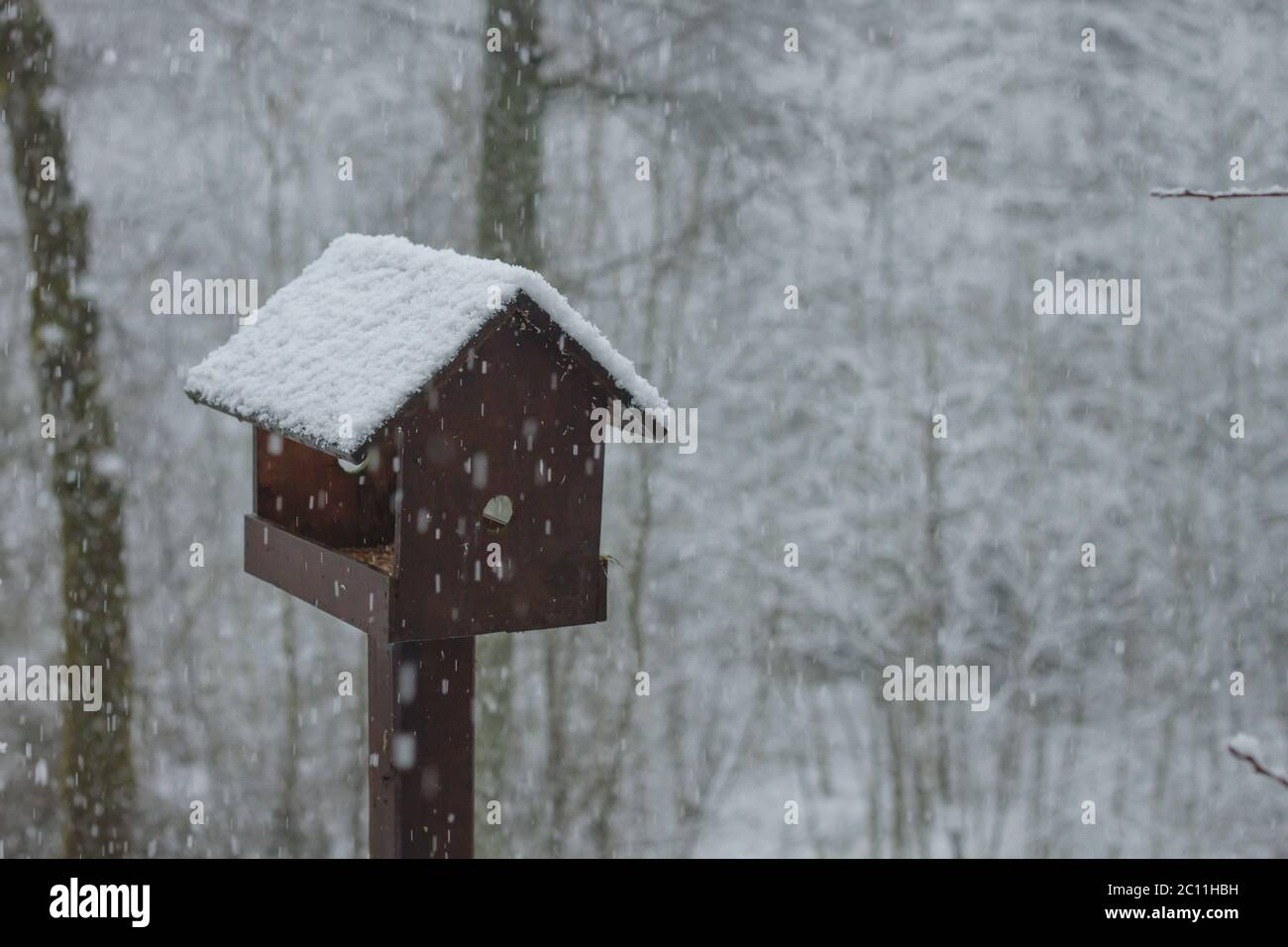 Birdhouse in legno in giardino innevato Foto Stock