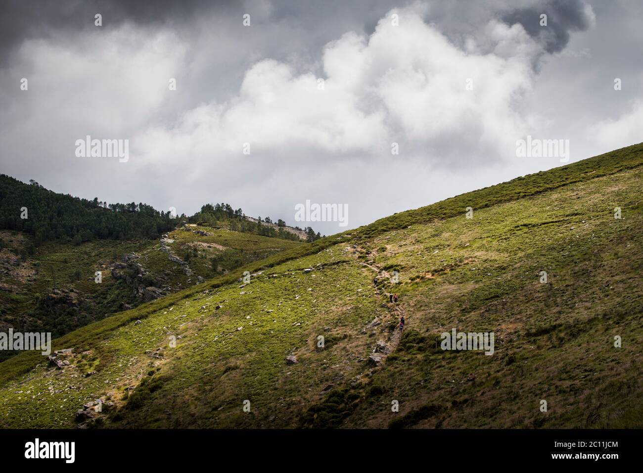 Gli escursionisti saliscono su una collina verde sotto il cielo nuvoloso grigio Foto Stock