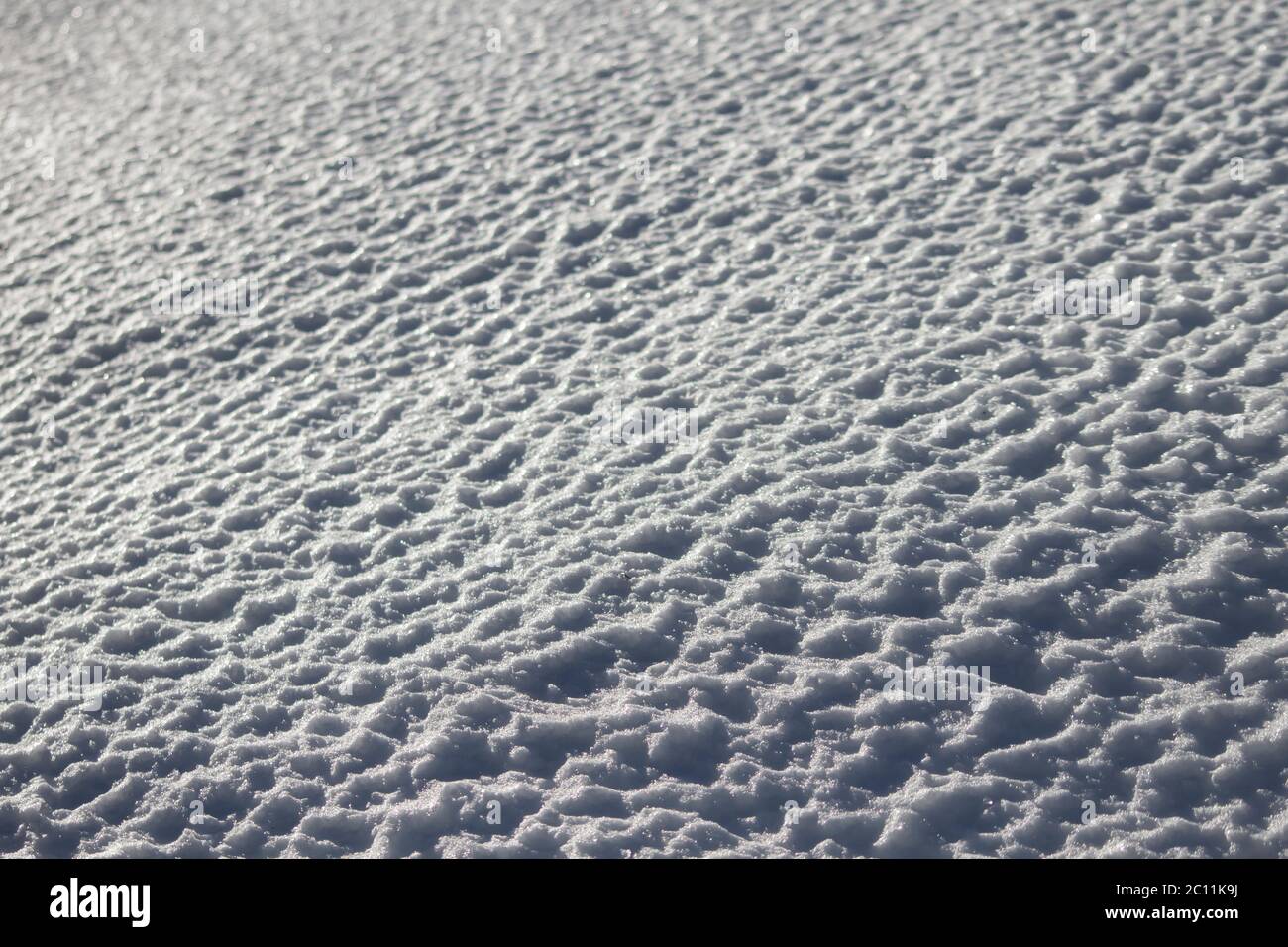 Motivo a swno smerigliato Foto Stock