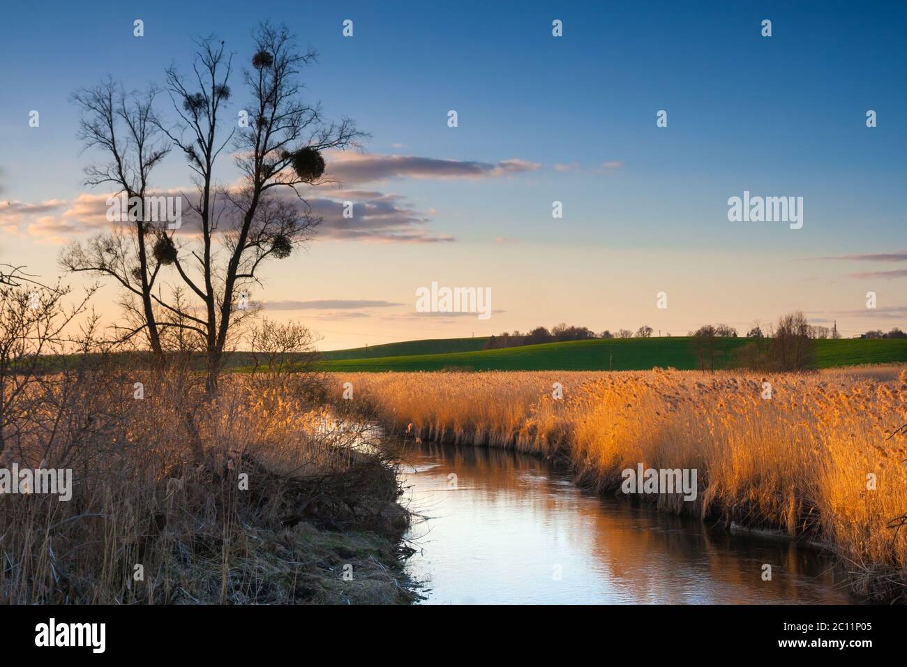 Paesaggio con fiume in campagna. Bella tranquilla rurale scena Foto Stock