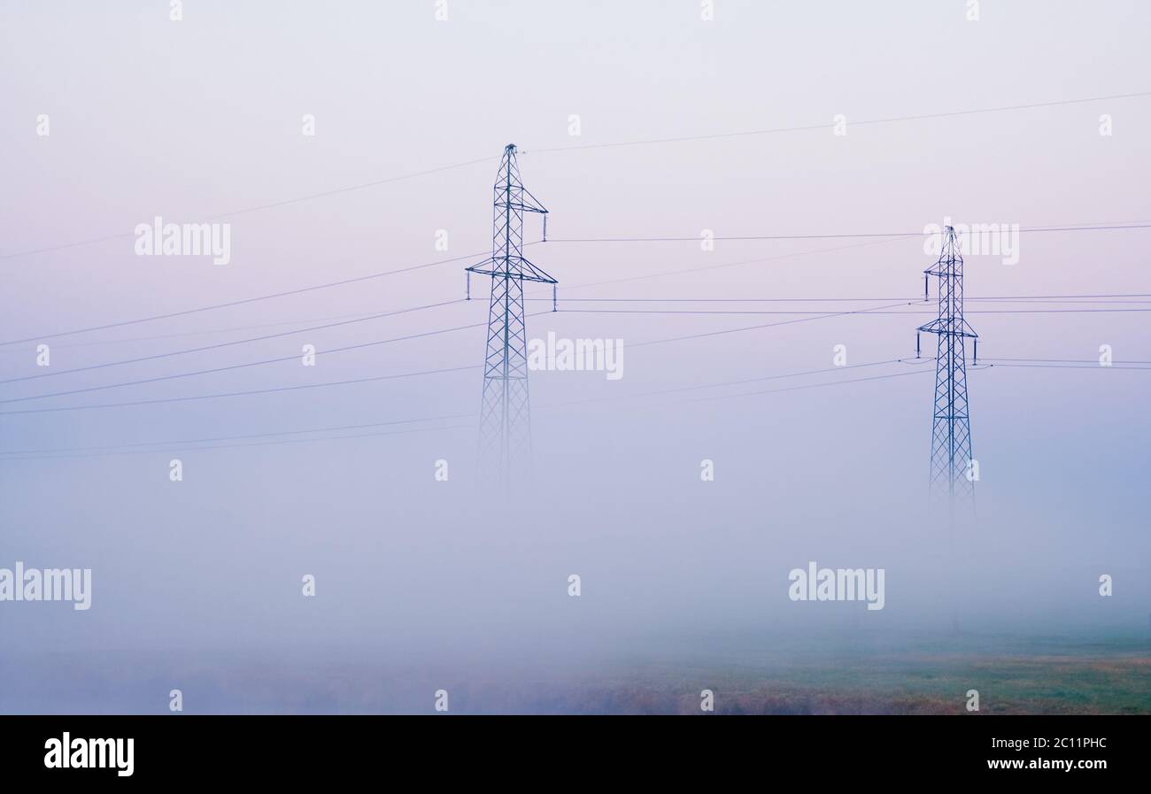 Linee elettriche sul campo in nebbia mattutina Foto Stock