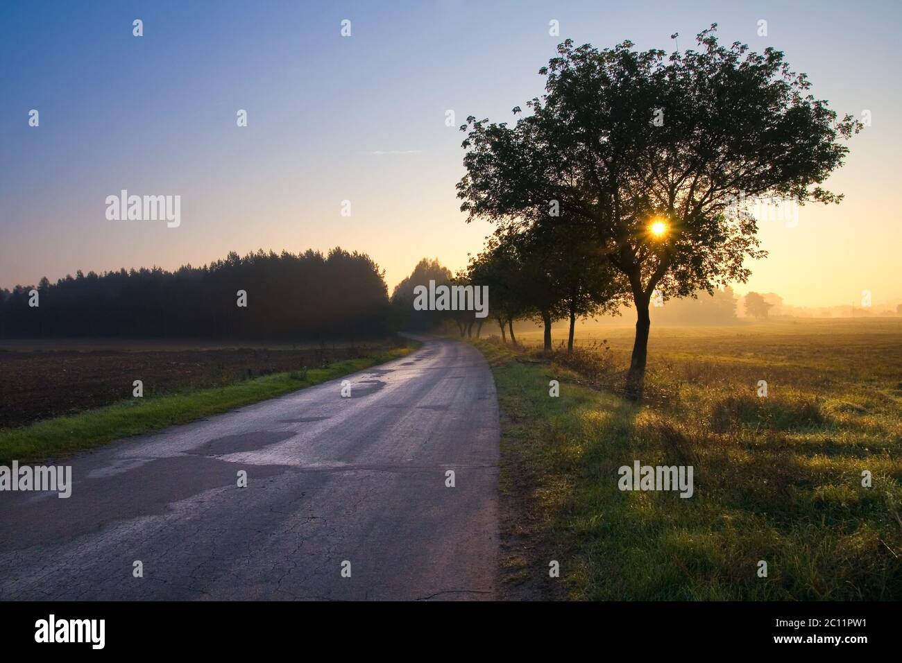 asfalto strada rurale vicino villaggio fotografato in buona luce d'ora d'oro Foto Stock