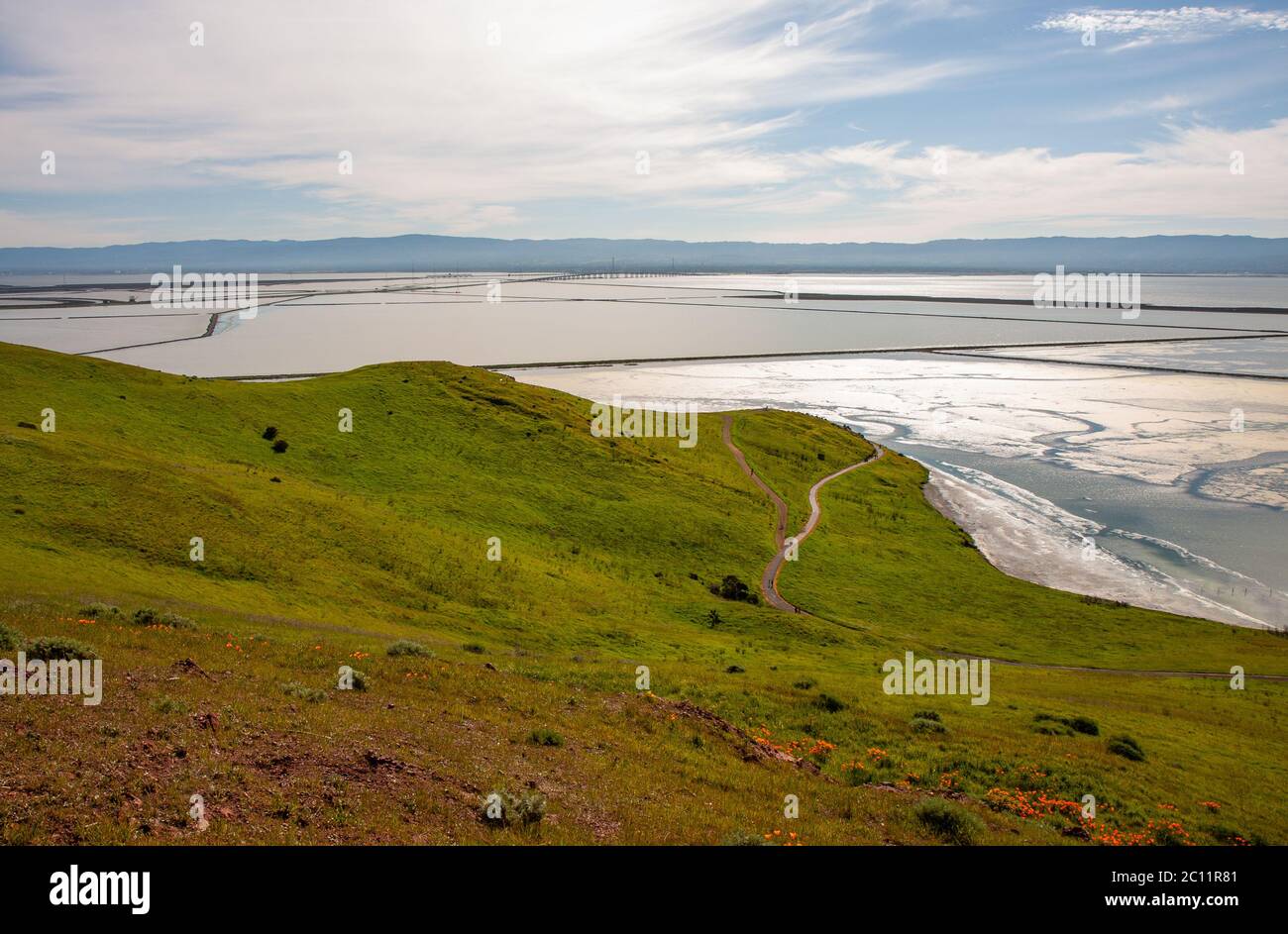 Vista della Baia di San Francisco da Coyote Hills, Fremont, California Foto Stock