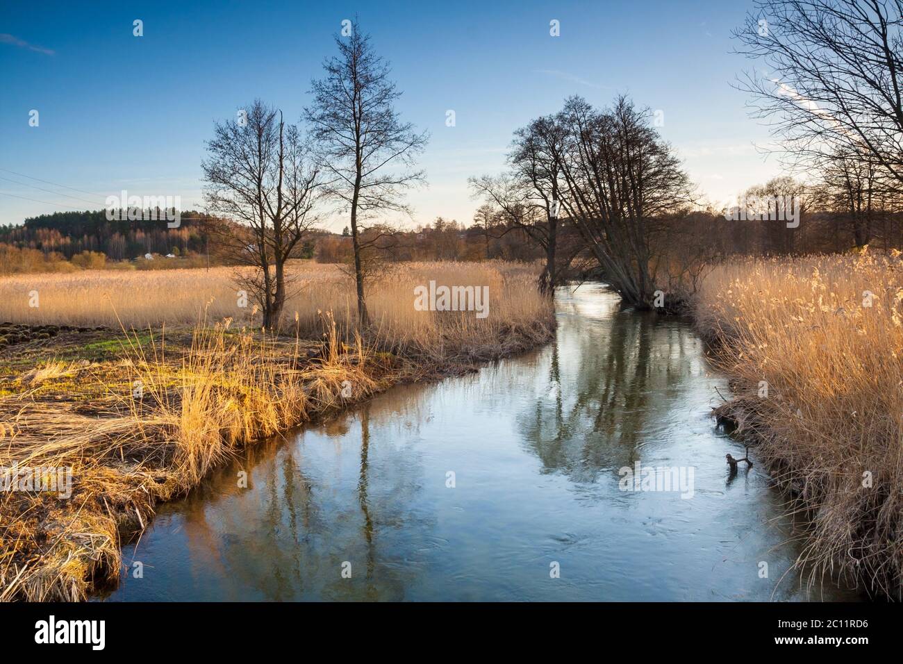 Paesaggio con fiume in campagna. Bella tranquilla rurale scena Foto Stock