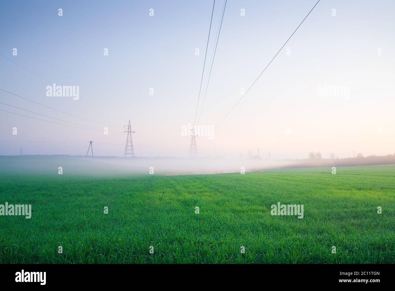 Linee elettriche sul campo in nebbia mattutina Foto Stock