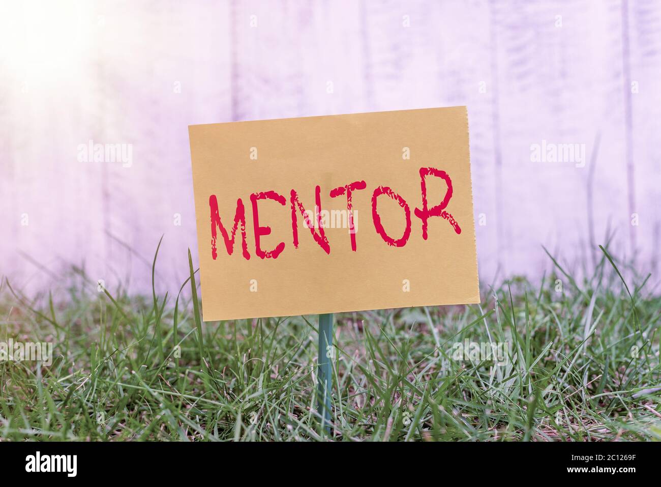 Nota di scrittura che mostra la guida. Concetto di business per un individuo che si allena e guida qualcuno che ha la carta comune potenziale attaccato al bastone Foto Stock