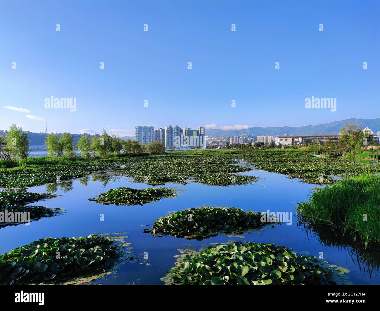 14 giugno 2020, Dali, Dali, Cina: Yunnan, CINA-lago di Erhai, un tempo chiamato Ye Yu Ze, Kunmi Chuan, Xi 'er fiume e Xi Er fiume in letteratura antica, si trova nel sobborgo di Dali, provincia di Yunnan, ed è il secondo lago di acqua dolce più grande nella provincia di Yunnan. Partendo da Eryuan a nord, il lago Erhai è lungo circa 42.58 chilometri, con una larghezza massima di 9.0 chilometri da est ad ovest. Il lago si estende su una superficie di 256.5 kmq, con una profondità media di 10 metri e una profondità massima di 20 metri. Il lago Erhai è uno dei quattro punti panoramici del lago Erhai. Si dice che sia denominato e Foto Stock