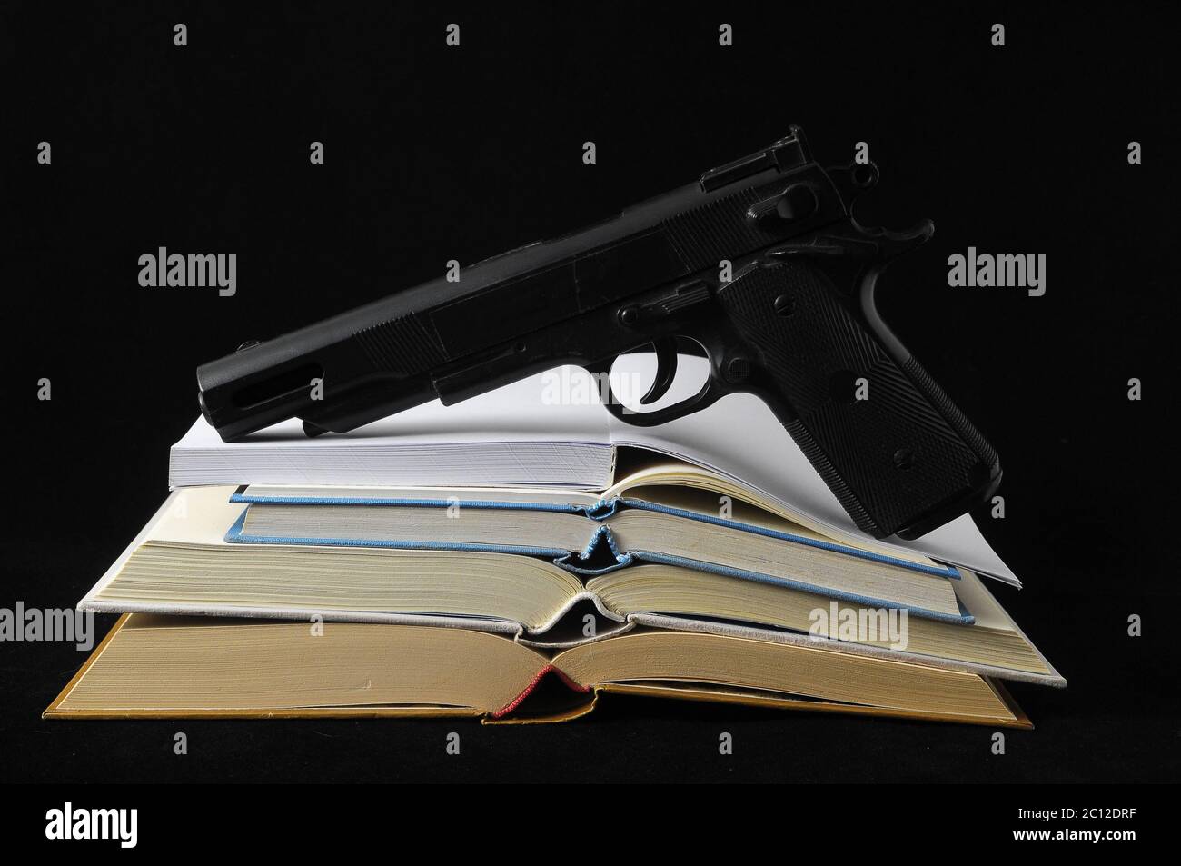 Libro vuoto Foto Stock