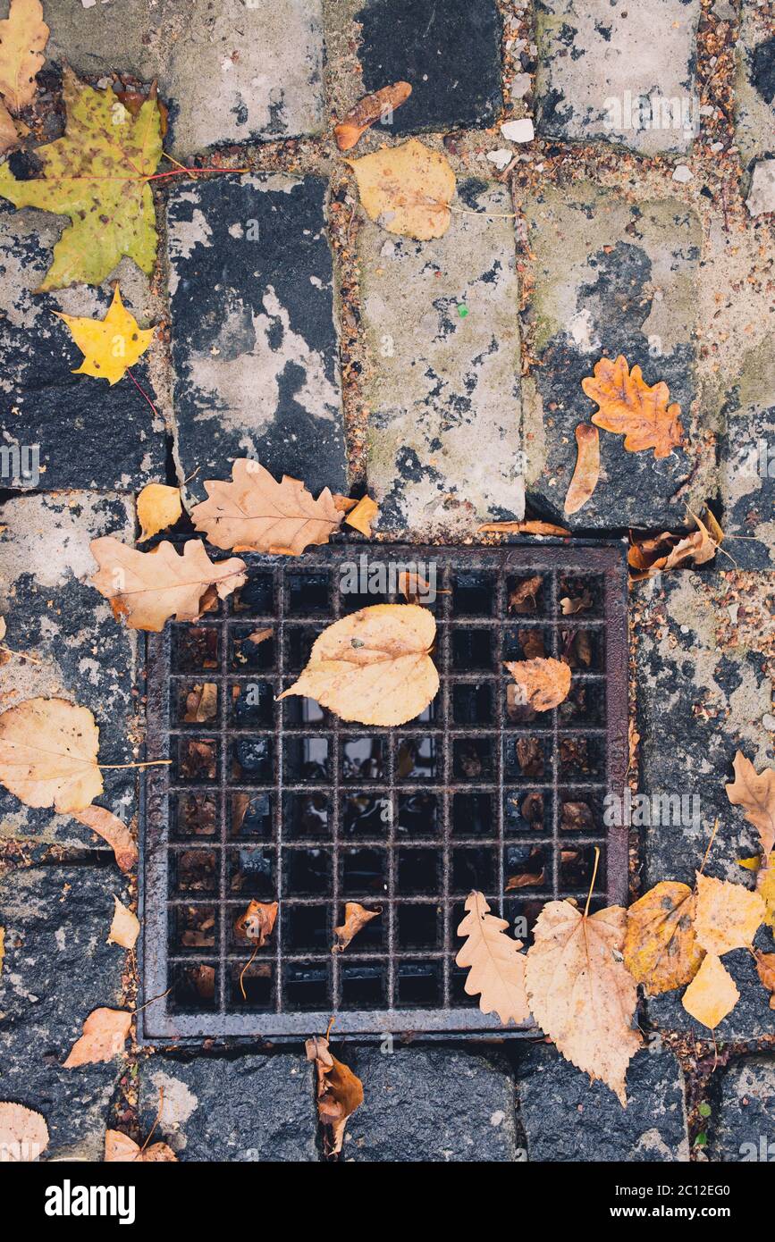 Saracinesca di scarico griglia in ghisa riempito con foglie di autunno e acqua. Autunno sfondo stagionali Foto Stock