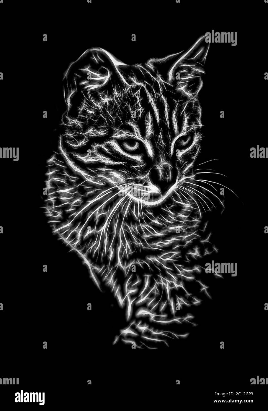 Incandescente cat ritratto Foto Stock