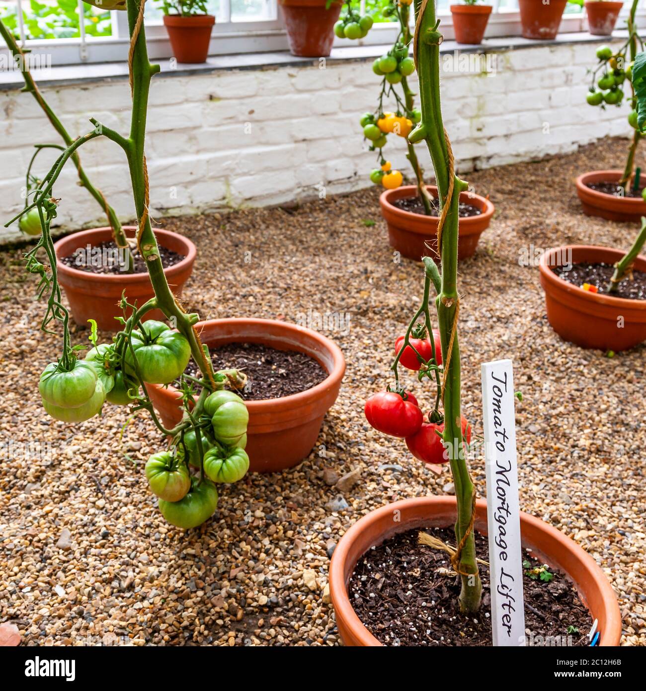 Casa vittoriana da magra a verde in Audley End House and Gardens, Saffron Walden, Regno Unito Foto Stock
