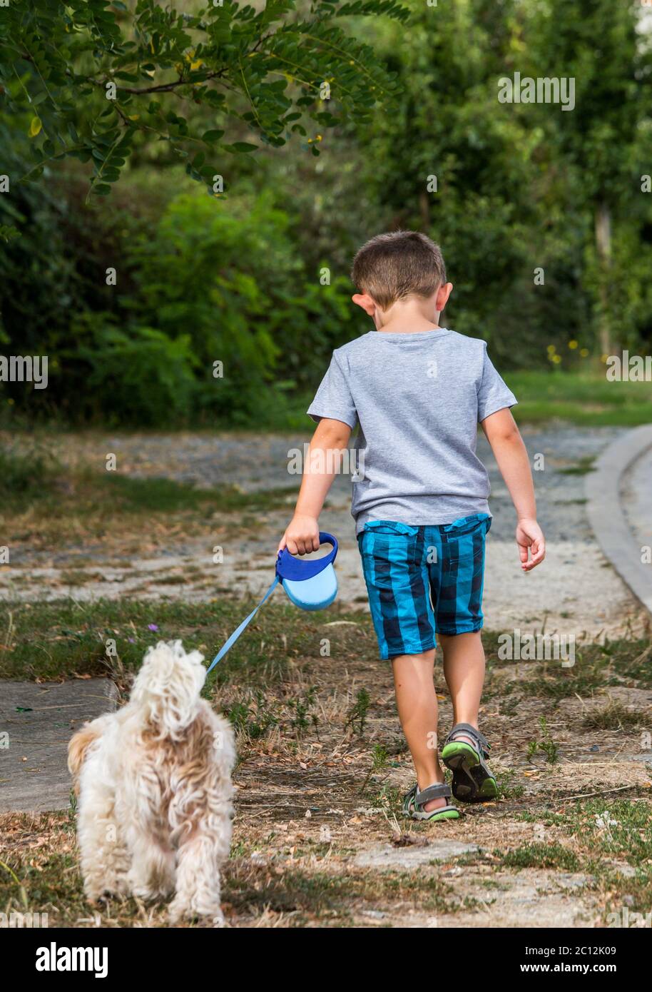 bambino che cammina il suo cane al guinzaglio in campagna Foto Stock