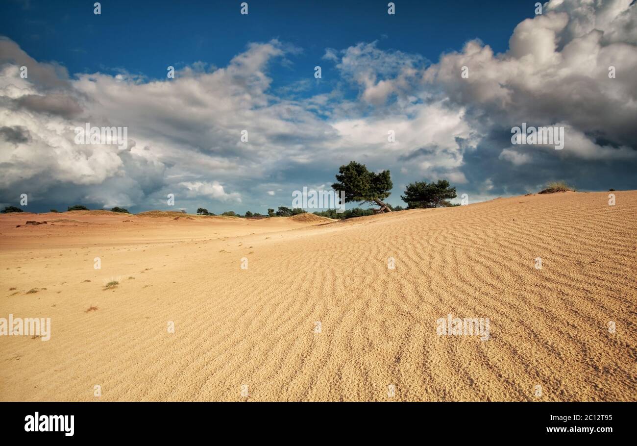 texture di dune di sabbia e cielo tempestoso Foto Stock