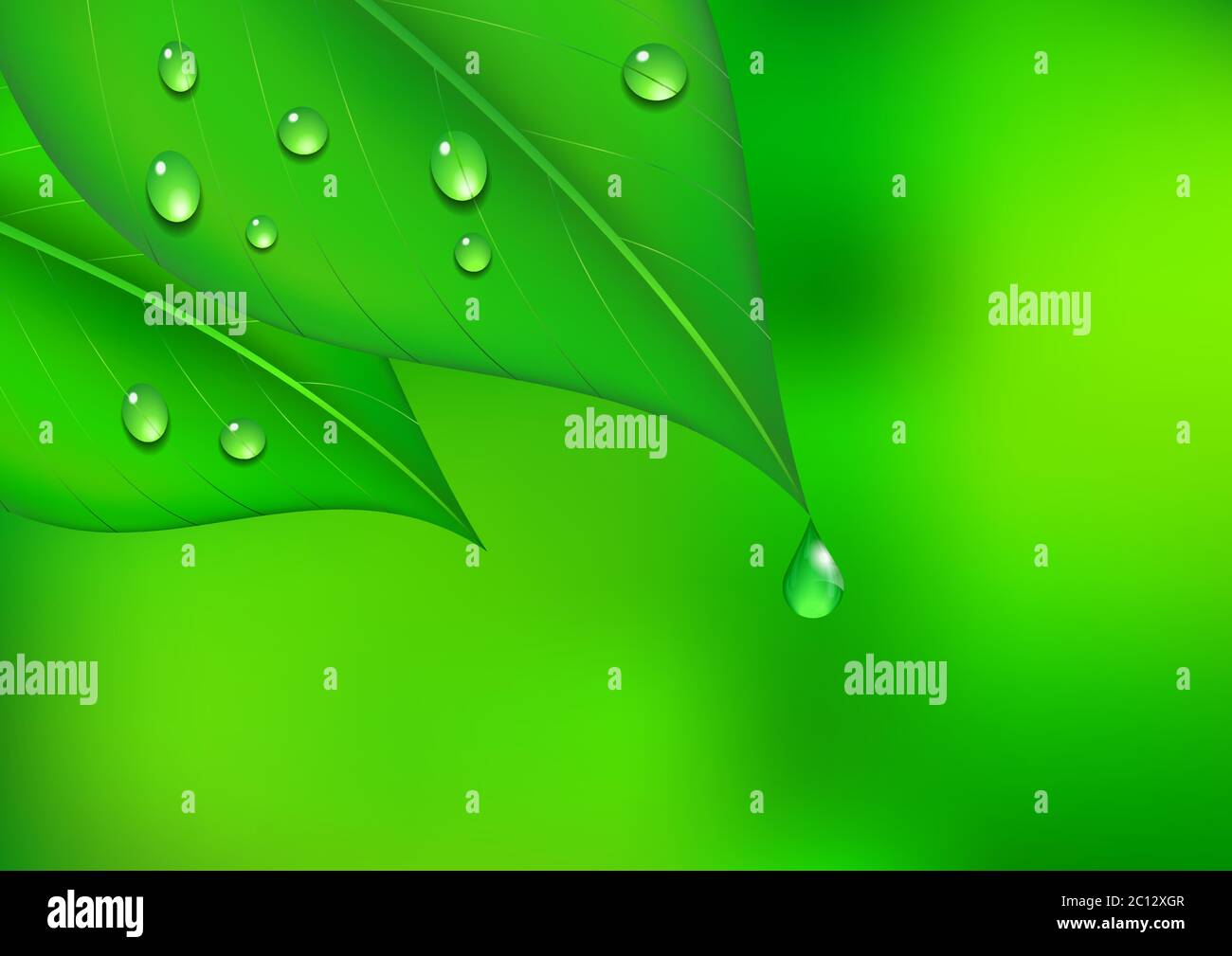 Foglia sfondo con goccia d'acqua su sfondo verde Illustrazione Vettoriale