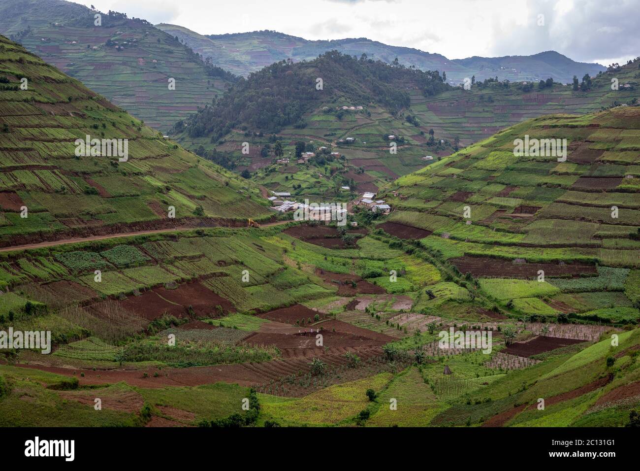 Verdi colline e terrazzamenti coltivano colture su pendii nel distretto di Kisoro, Uganda, Africa orientale Foto Stock