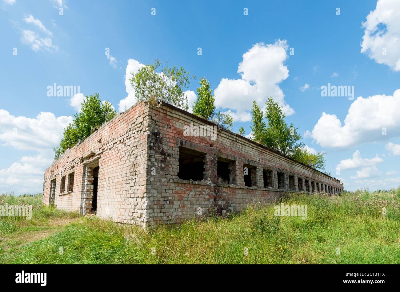La vecchia fattoria nei campi. Lihuania Foto Stock