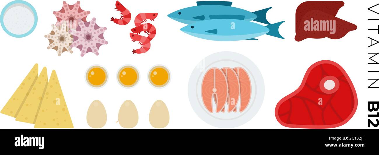 Vitamin B12 alimenti vettore icone piatte insieme con pesce e carne. Illustrazione Vettoriale