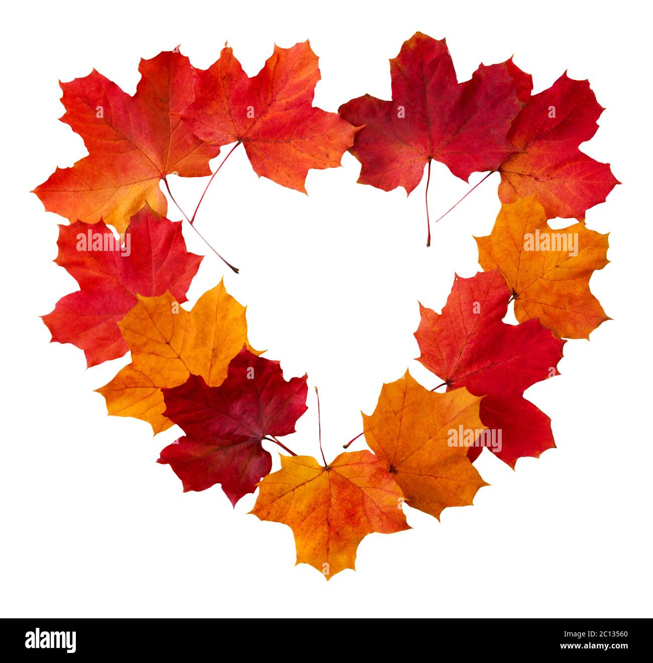 Cornice a forma di cuore di foglie d'acero colorate isolate. Foto Stock