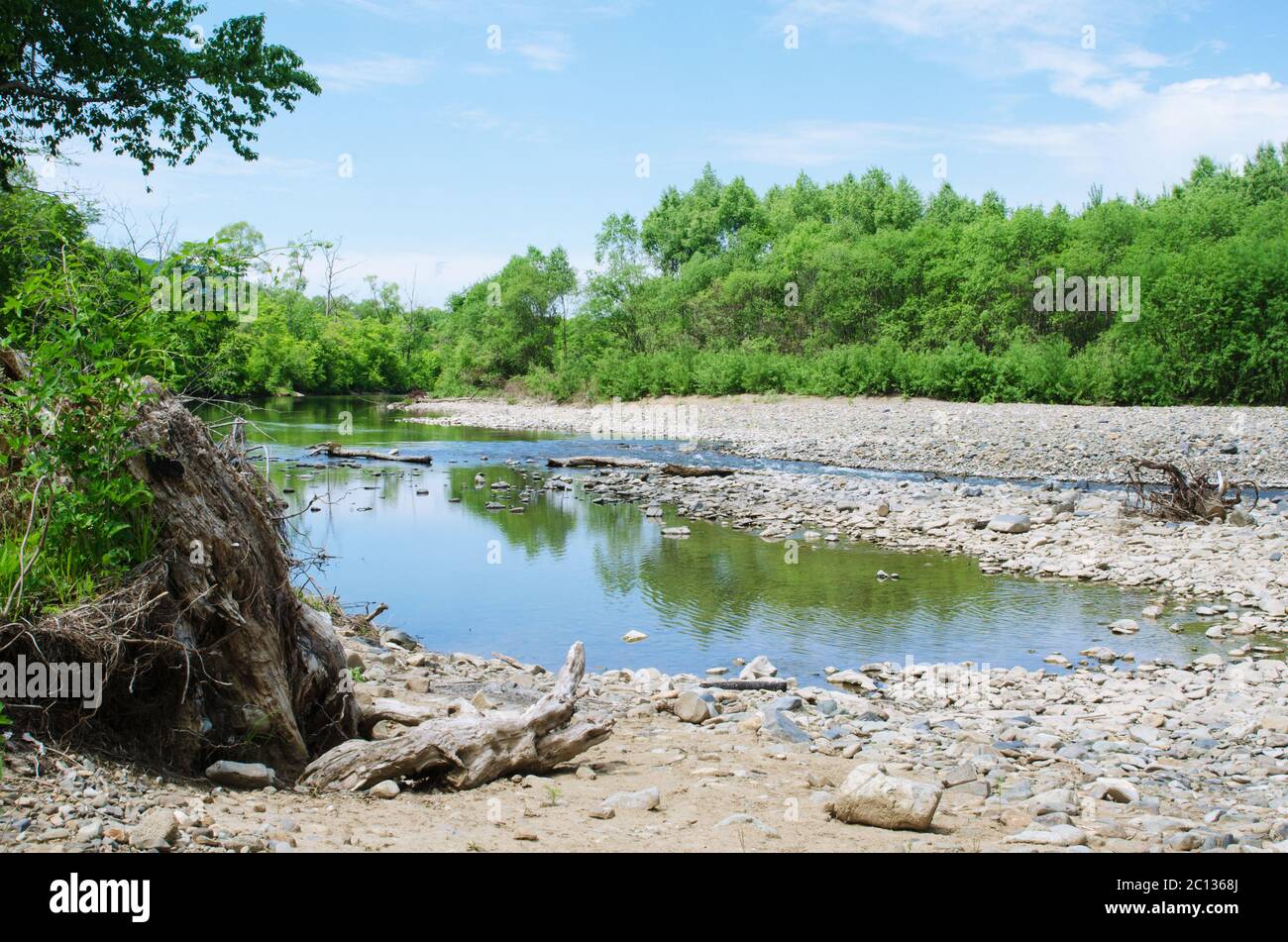 Paesaggio del fiume di montagna con albero sradicato in primo piano. Foto Stock
