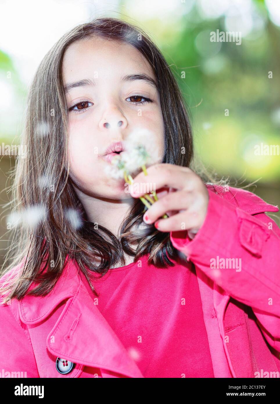 carino bambino che soffia su un fiore in piedi in un parco Foto Stock