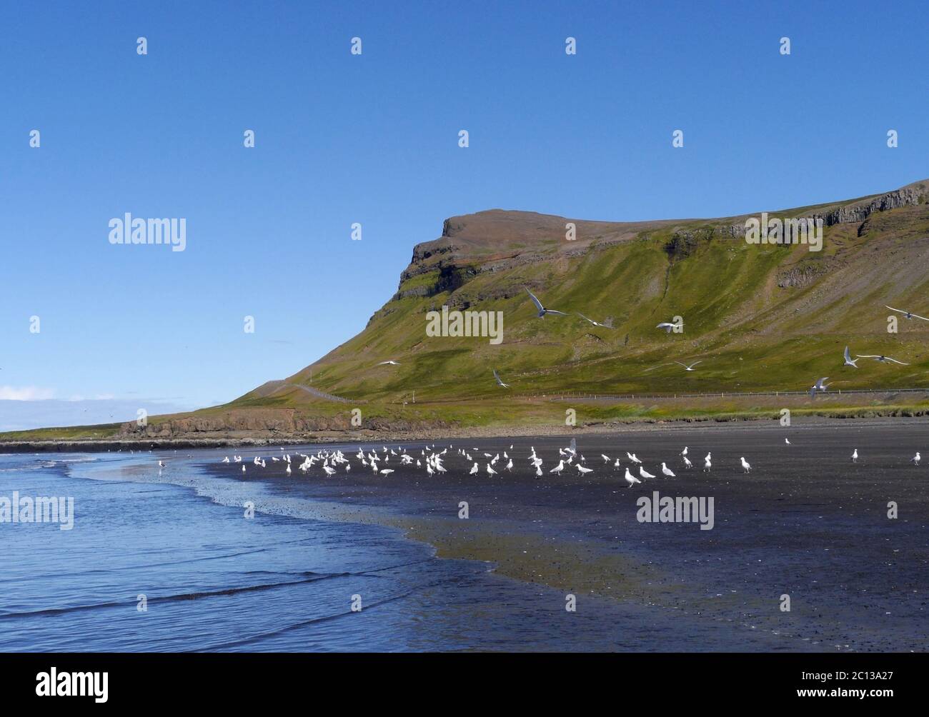 Spiaggia di sabbia nera vicino alla penisola di Olafsvik Snaefellsnes in Islanda Foto Stock