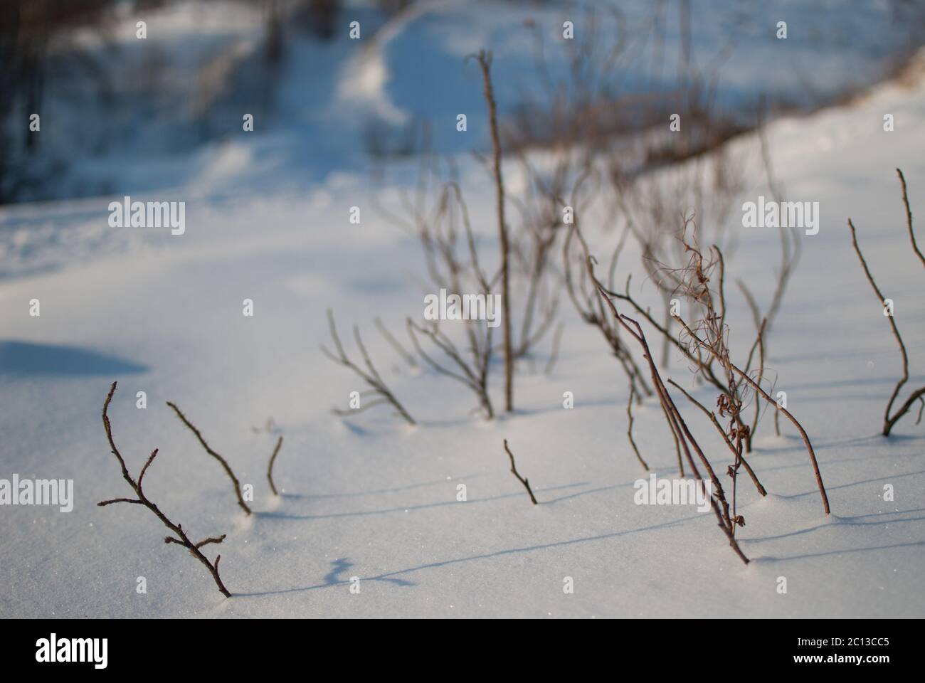 Incantevole paesaggio invernale con coperte di neve colline al tramonto Foto Stock