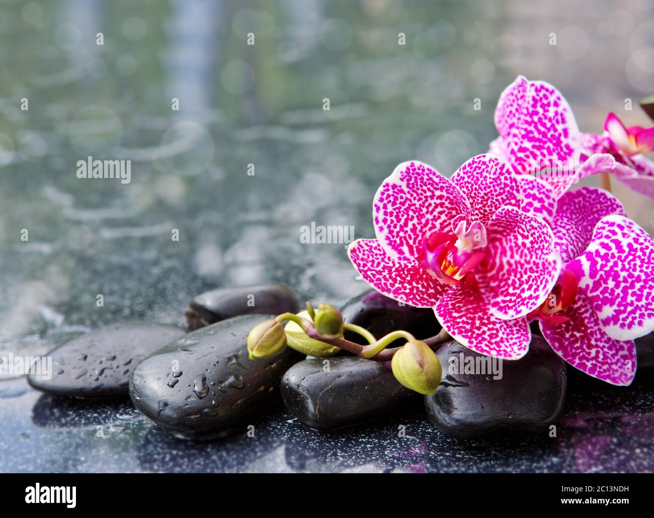 Concetto di spa con pietre zen e orchidee. Foto Stock