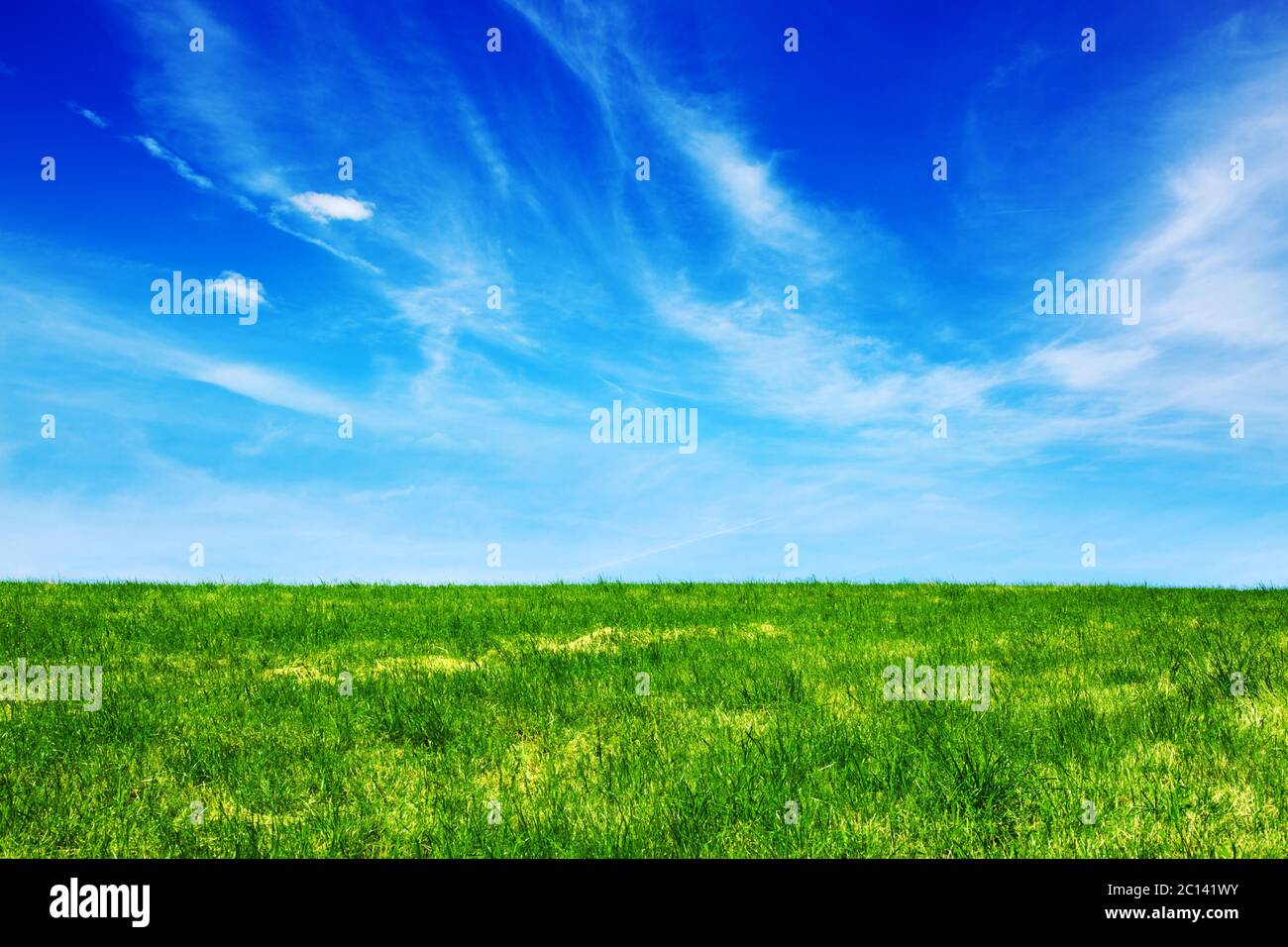 Green fild contro il cielo blu Foto Stock